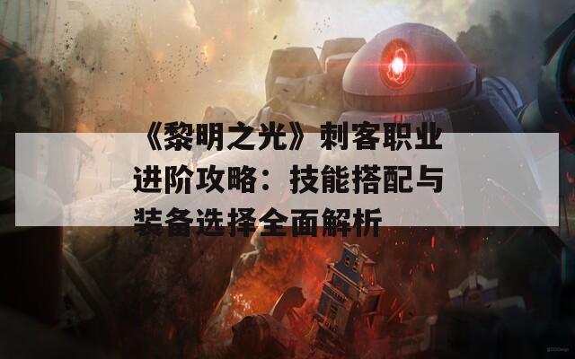 《黎明之光》刺客职业进阶攻略：技能搭配与装备选择全面解析