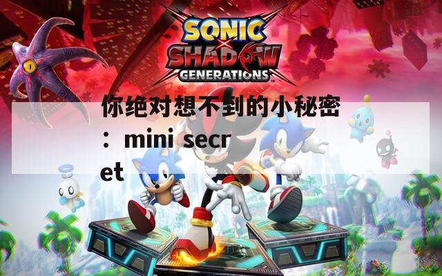 你绝对想不到的小秘密：mini secret