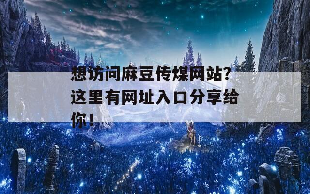 想访问麻豆传煤网站？这里有网址入口分享给你！