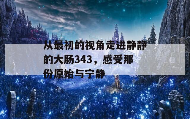 从最初的视角走进静静的大肠343，感受那份原始与宁静