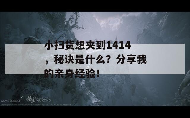 小扫货想夹到1414，秘诀是什么？分享我的亲身经验！