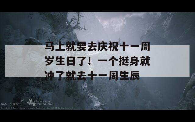 马上就要去庆祝十一周岁生日了！一个挺身就冲了就去十一周生辰