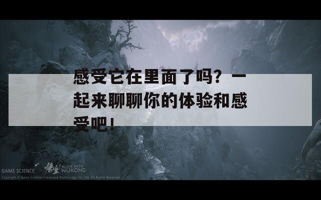 感受它在里面了吗？一起来聊聊你的体验和感受吧！