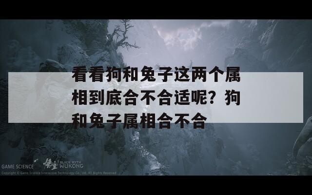 看看狗和兔子这两个属相到底合不合适呢？狗和兔子属相合不合