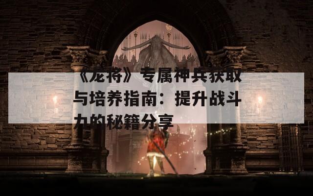 《龙将》专属神兵获取与培养指南：提升战斗力的秘籍分享