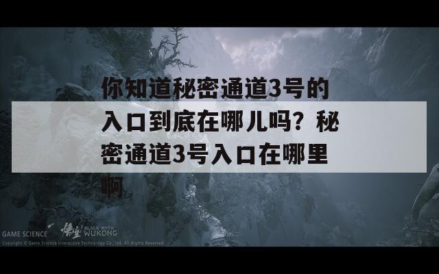 你知道秘密通道3号的入口到底在哪儿吗？秘密通道3号入口在哪里啊