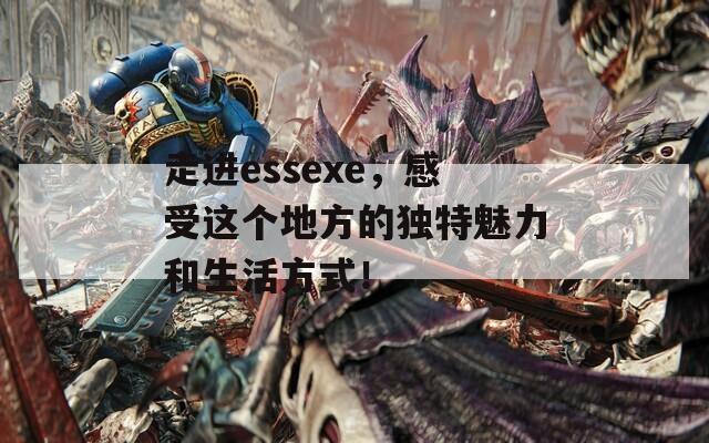 走进essexe，感受这个地方的独特魅力和生活方式！