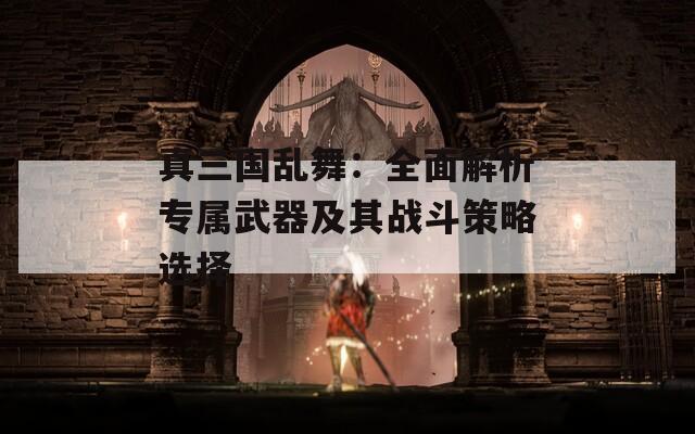 真三国乱舞：全面解析专属武器及其战斗策略选择