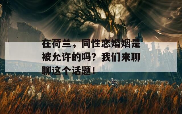 在荷兰，同性恋婚姻是被允许的吗？我们来聊聊这个话题！