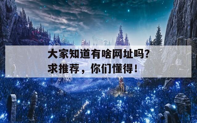 大家知道有啥网址吗？求推荐，你们懂得！