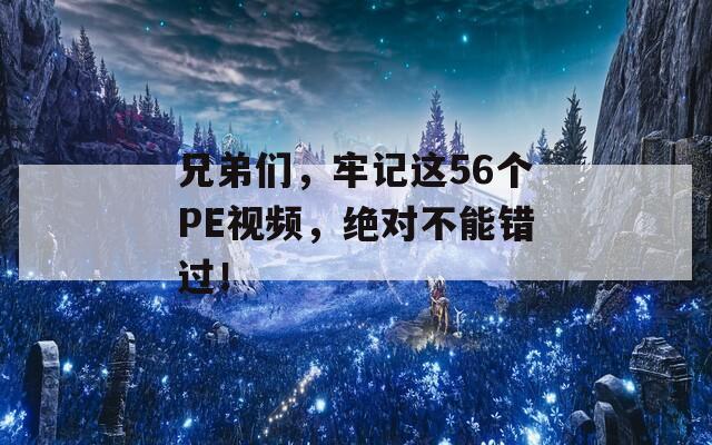 兄弟们，牢记这56个PE视频，绝对不能错过！