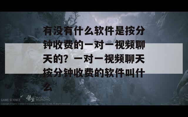 有没有什么软件是按分钟收费的一对一视频聊天的？一对一视频聊天按分钟收费的软件叫什么