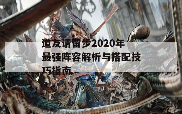 道友请留步2020年最强阵容解析与搭配技巧指南