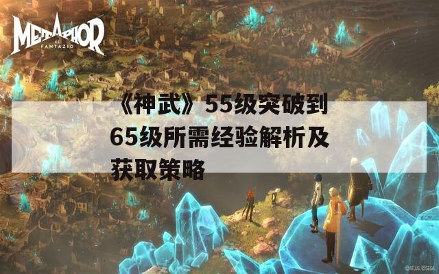 《神武》55级突破到65级所需经验解析及获取策略