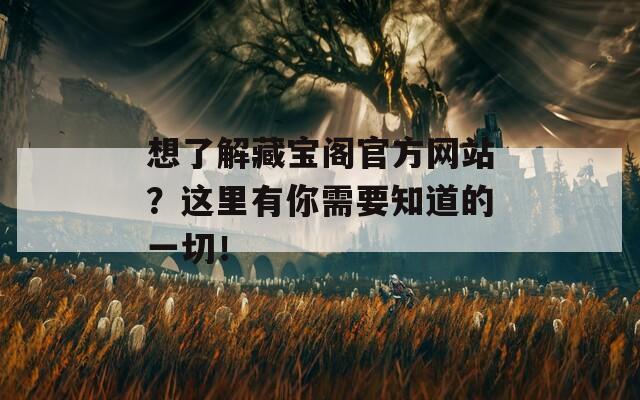 想了解藏宝阁官方网站？这里有你需要知道的一切！