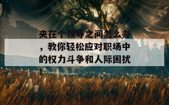 夹在个领导之间怎么办，教你轻松应对职场中的权力斗争和人际困扰！