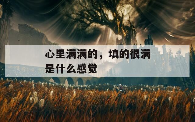 心里满满的，填的很满是什么感觉