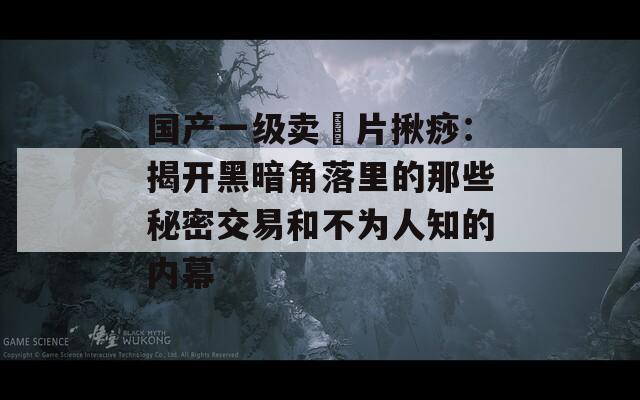 国产一级卖婬片揪痧：揭开黑暗角落里的那些秘密交易和不为人知的内幕