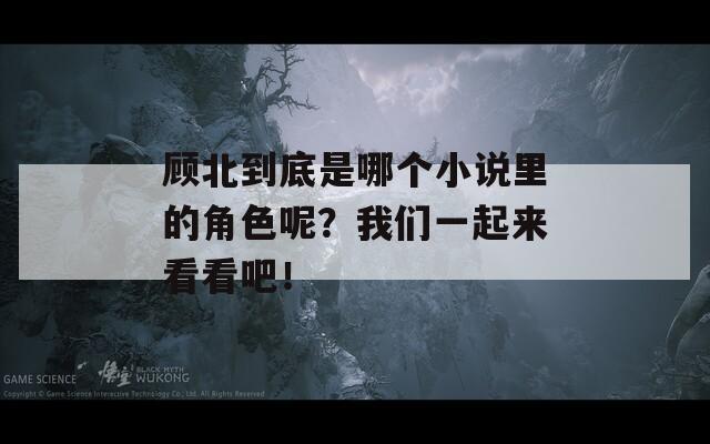 顾北到底是哪个小说里的角色呢？我们一起来看看吧！