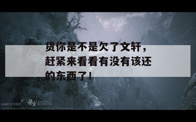 货你是不是欠了文轩，赶紧来看看有没有该还的东西了！