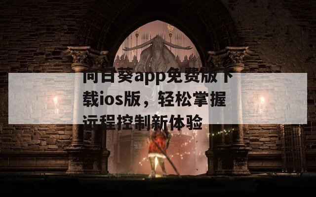 向日葵app免费版下载ios版，轻松掌握远程控制新体验