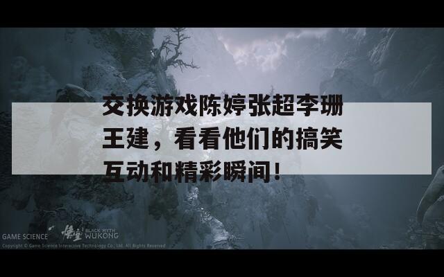 交换游戏陈婷张超李珊王建，看看他们的搞笑互动和精彩瞬间！