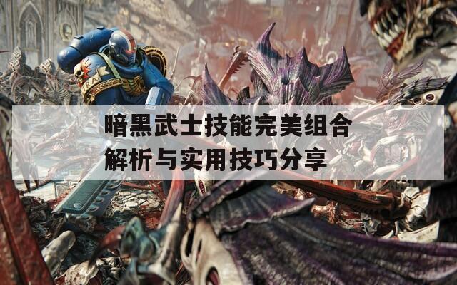 暗黑武士技能完美组合解析与实用技巧分享