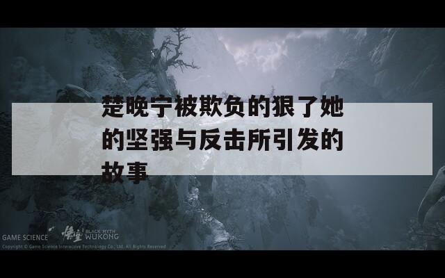 楚晚宁被欺负的狠了她的坚强与反击所引发的故事