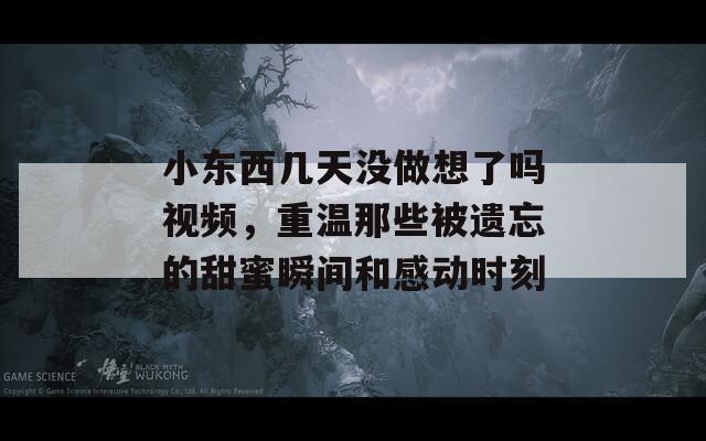 小东西几天没做想了吗视频，重温那些被遗忘的甜蜜瞬间和感动时刻