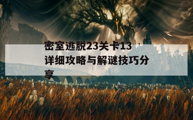 密室逃脱23关卡13详细攻略与解谜技巧分享