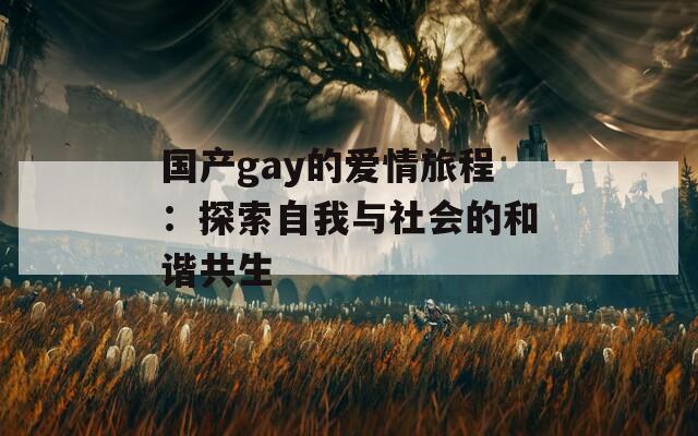 国产gay的爱情旅程：探索自我与社会的和谐共生